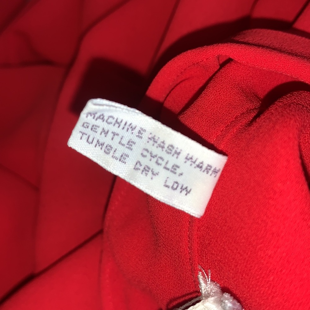 Ms. Chaus Vintage Red Sheer Dress Size 14 - Picture 10 of 10